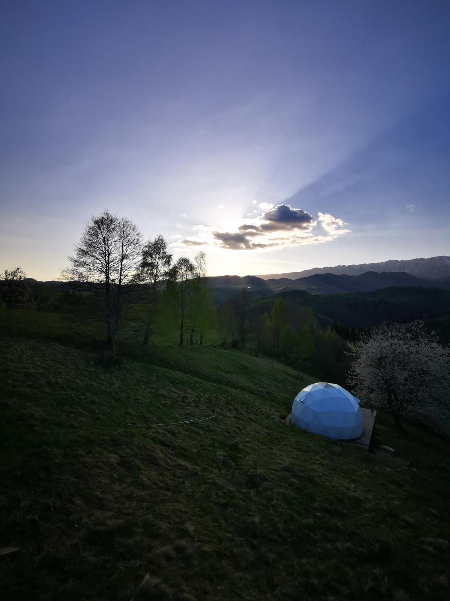 Glamping Zazen Hotel Drumu Carului Buitenkant foto