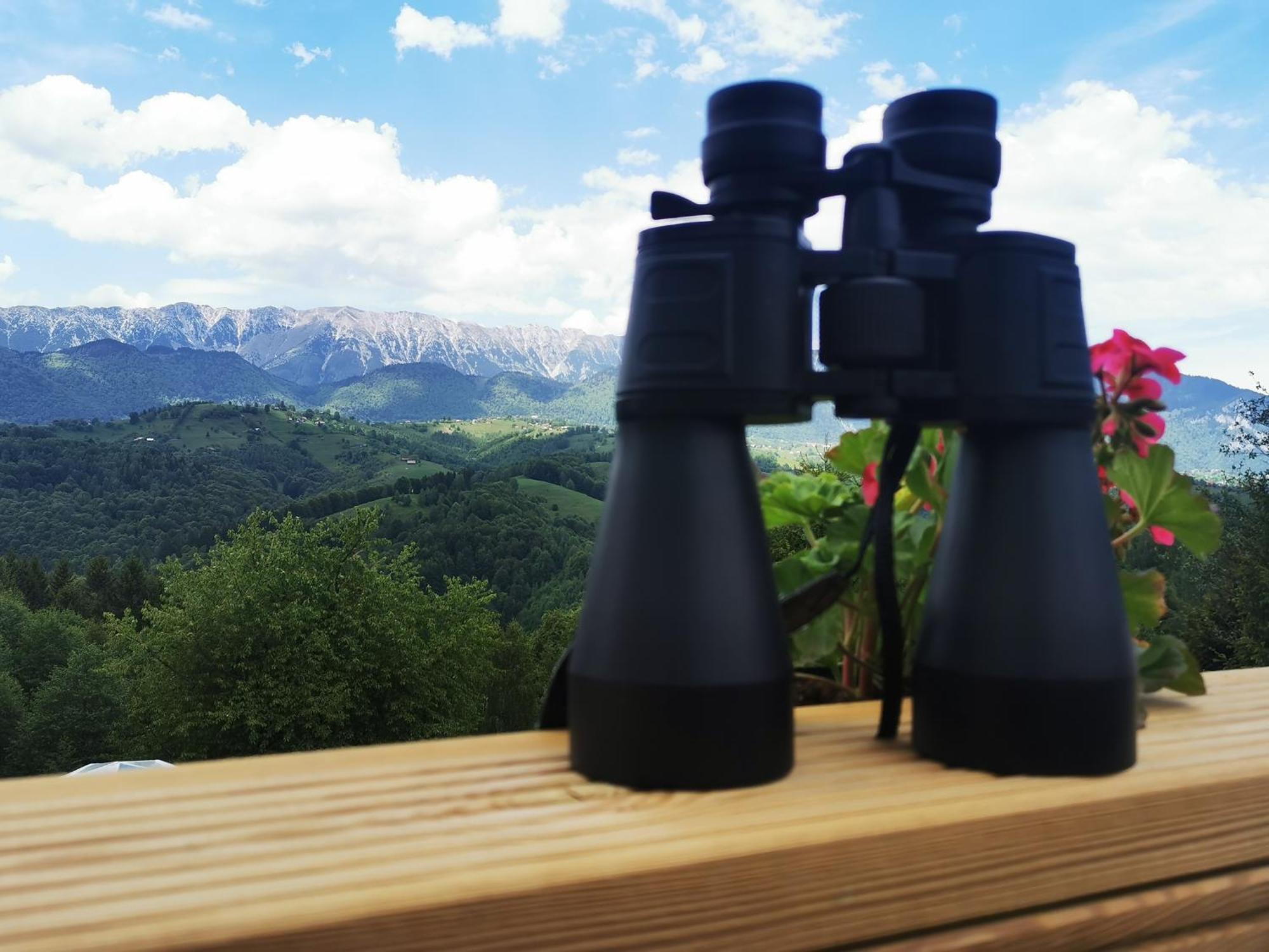 Glamping Zazen Hotel Drumu Carului Buitenkant foto