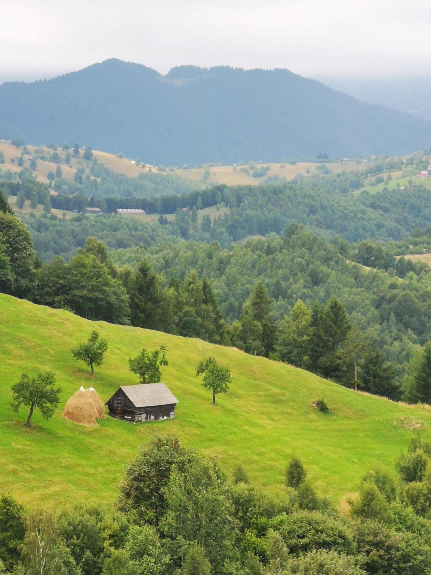 Glamping Zazen Hotel Drumu Carului Buitenkant foto