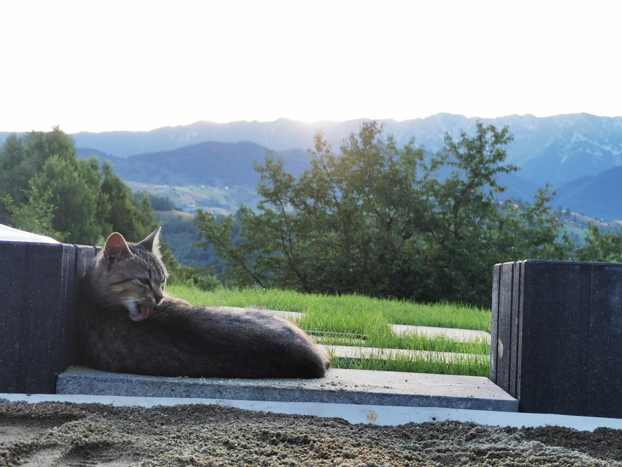Glamping Zazen Hotel Drumu Carului Buitenkant foto